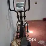 Exercises treadmill