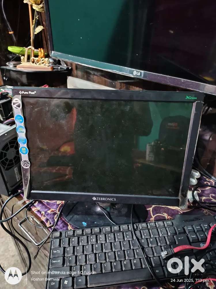 zebronics moniter