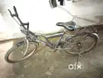 Afro cycle