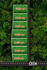 Mookanoor House plot for sale 5 Cent മുതൽ പ്ലോട്ട് ലഭ്യമാണ്