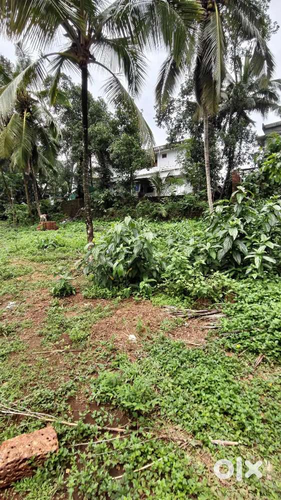 11.3 cent house plot