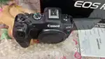 Canon R8 Full Frame Mirrorless Body Under warranty Personal used