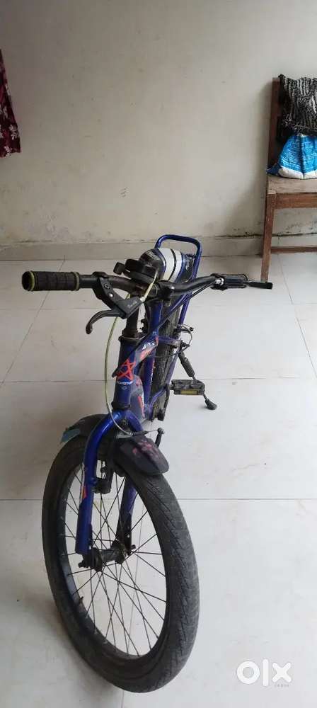 Unicorn bicycle