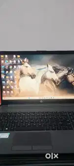 HP255 8 G  AMD Ryzen 3 3250U with Radeon Graphics