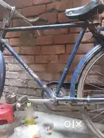 Neelam cycle