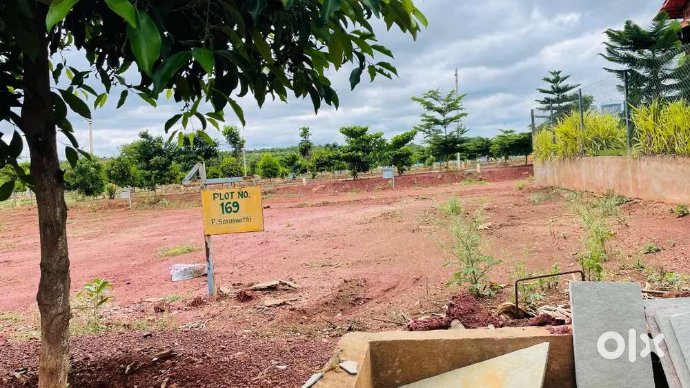 Open plots near Rajahmundry