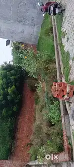 Sellingy plot urgent need of moey