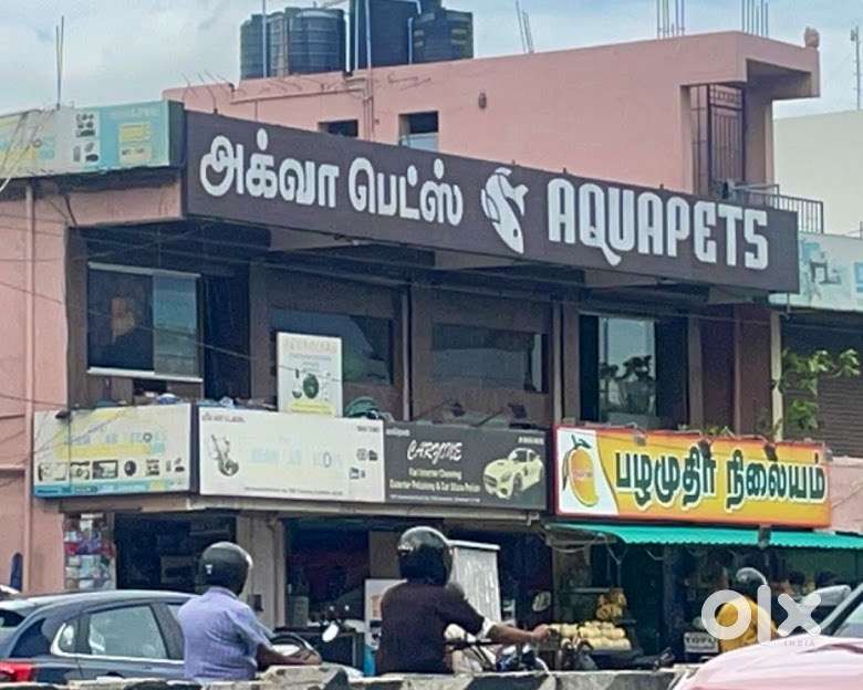 Aquarium Fish tank maintenance