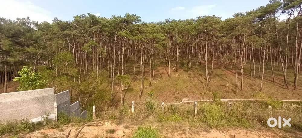 Mawlai Mawroh Umsohkhlur