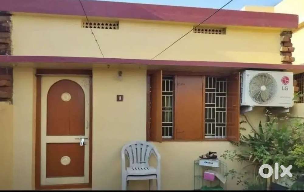 Need a girl roommate