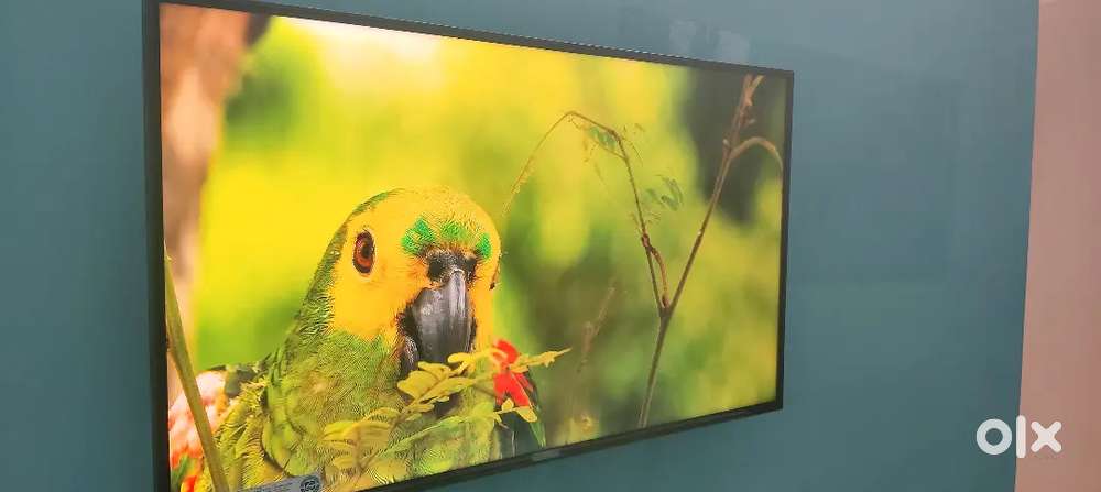 LG 43 Inches 4K Ultra HD Smart LED TV, 2 months old, Brand new.