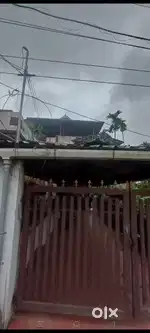(Family) 1bhk house ground floor for rent near Thrikakara