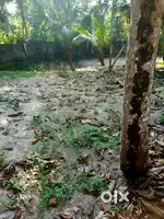 20 cent land for sale