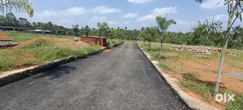 ANGAMALY THURAVOOR JUNCTION NEAR BY 500 MEATER