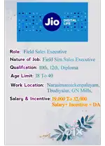 Sales Executive