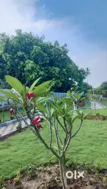 Plot in ORR Road