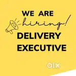 Delivery executive pala