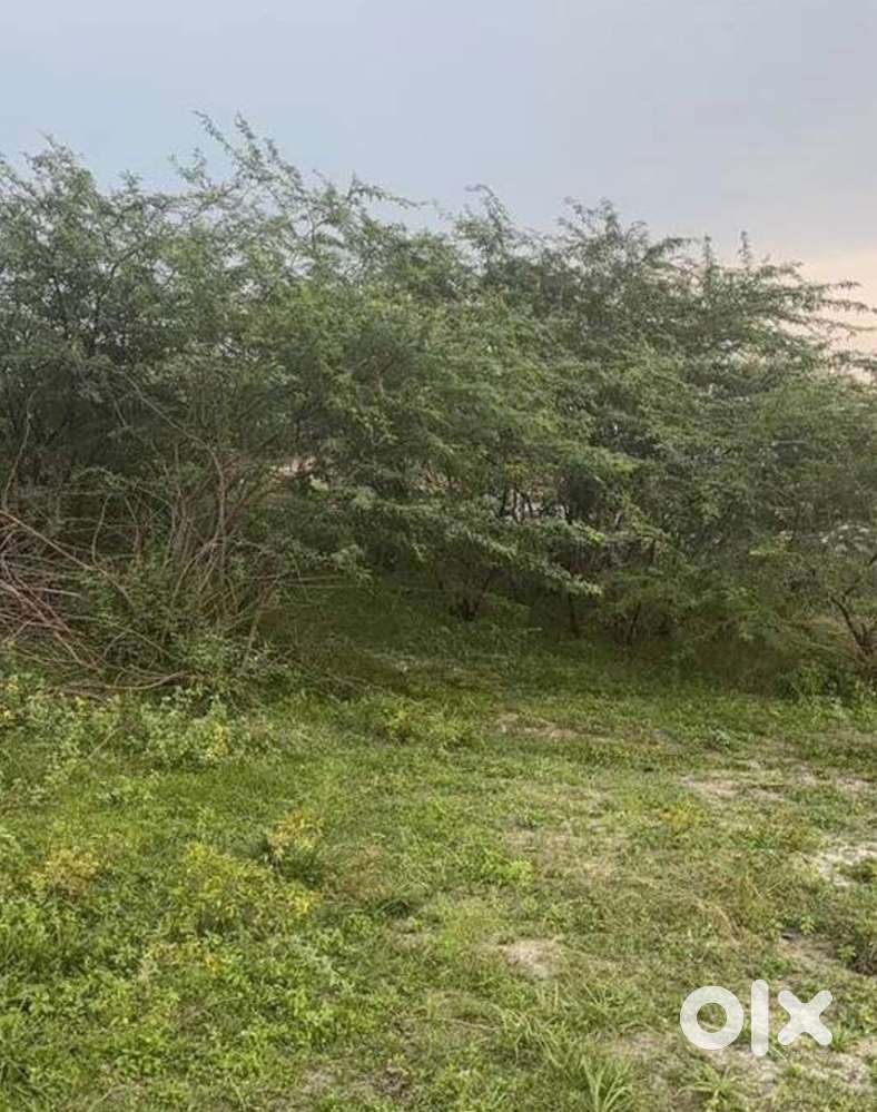 Per cent only 35k ( 25cent )