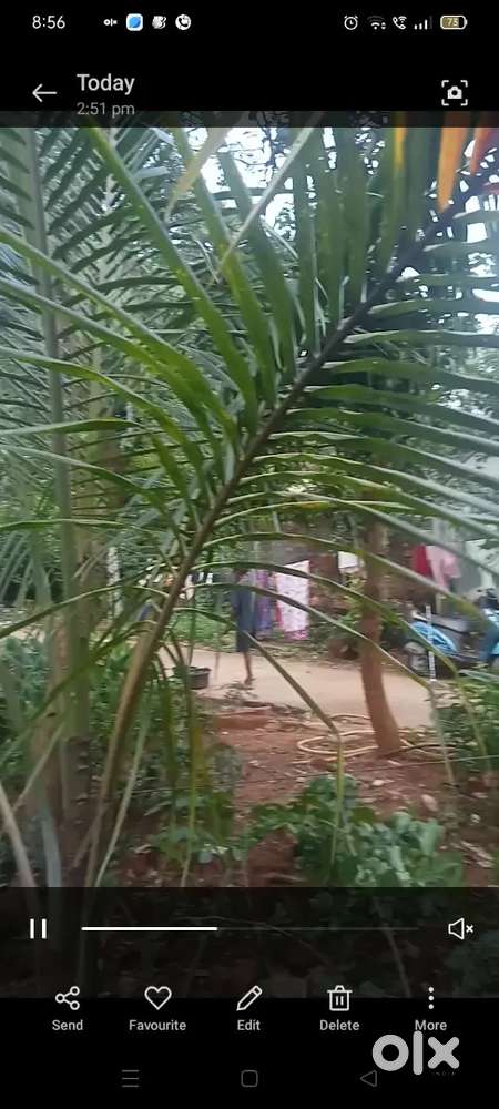 House for rent