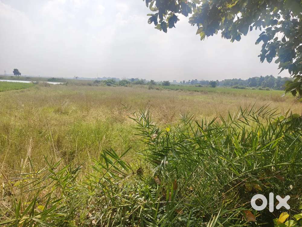 (DIRECT OWNER)COMMERCIAL PLOT FOR URGENT SALE ONLY 1,25,000/KATHA