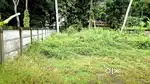 5 cent plot തുറവൂർ അമ്പലത്തിന് 100 മീറ്റർ മാറി
