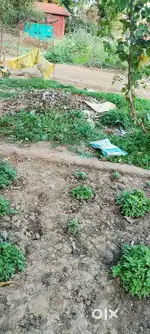 Plot of size 85 yards or 770 sq ft Chattarpur Extension
