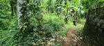 46 cent plot for sale at Prakkanam - Pathanamthitta