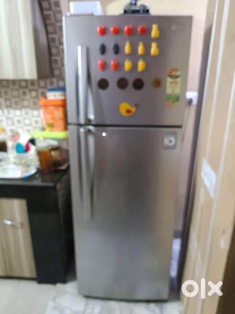 Fridge - Lg double door
