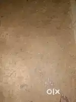 আগরতলা শহরের প্রাণকেন্দ্র দুই গন্ডা জায়গা বিক্রি হবে দাড়ি ঢুকবে