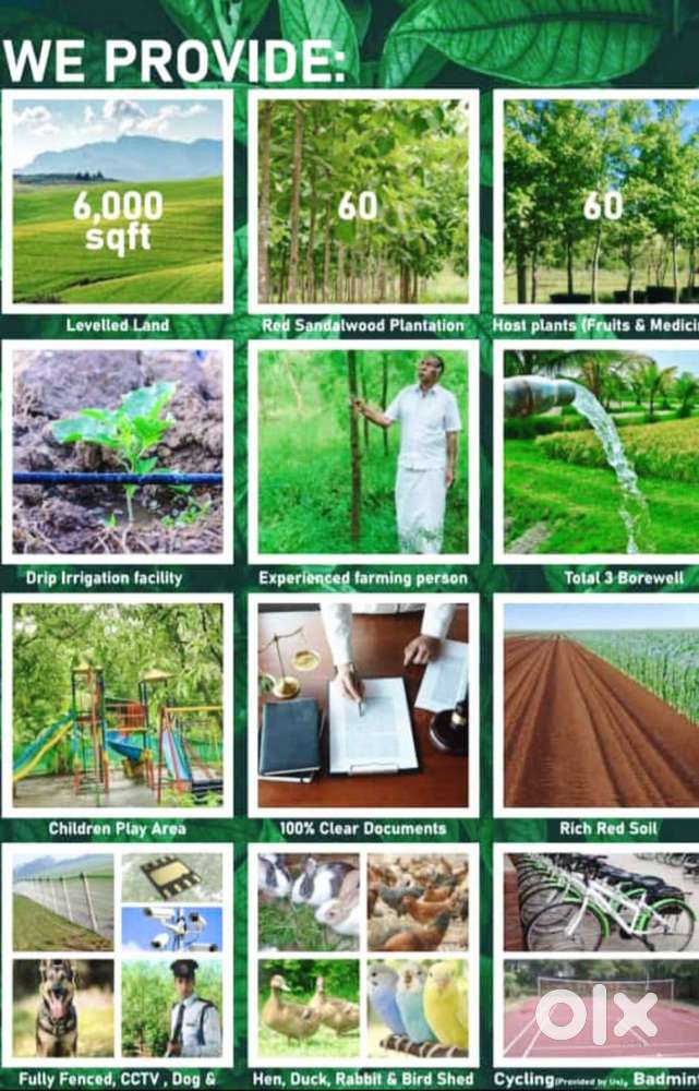 At Gouribidnur Highway developed Managed farmland 6534sqft for sale