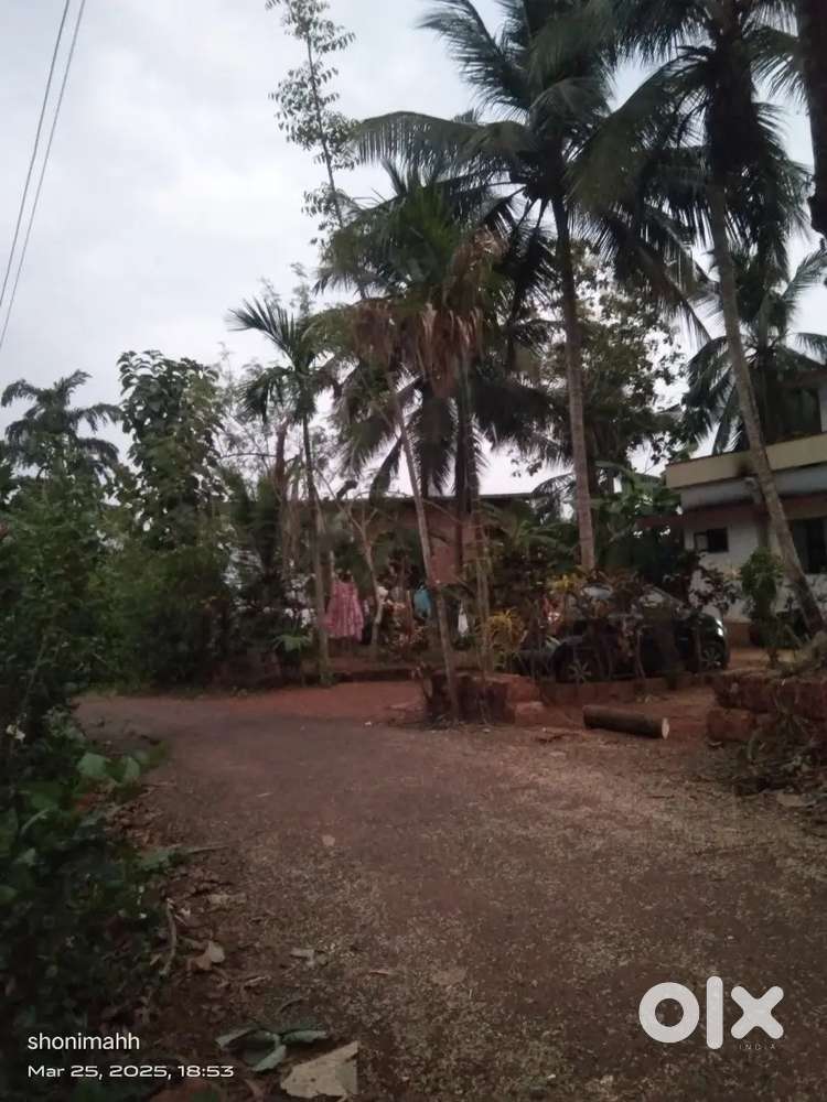 Residential land/plot for sale