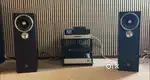Zu Audio
The Omen

10 Inch Coaxial Driver
97 db
3 Feet Tall