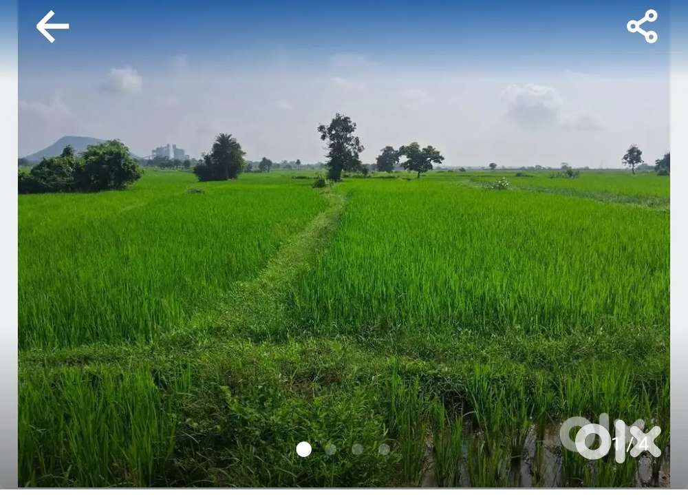Plot for sale at Naranpur Keonjhar