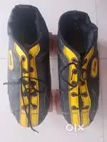 Roller shoe skates