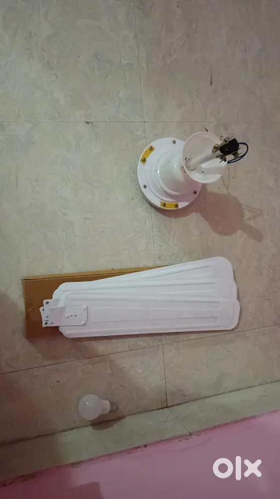 Unused New Orient Fan