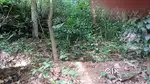 Pallivila, Vattappara