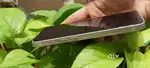 I phone 13 128 with bill box 2 sal purana battery helth 80%