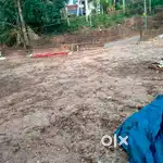 PLOT FOR SALE IN PERUNTHATIL