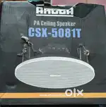 Ceiling Speaker
