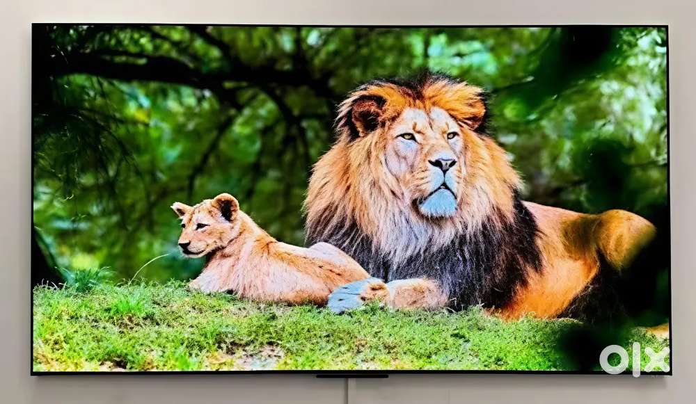 Offer New Led tv 50inch 55 40 42 43in 32 24 Android All Size available