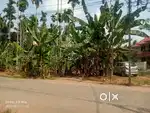 9.5 cents com/res plot for sale in Kangarappady.
