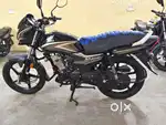 Top condition Honda shine year 2023