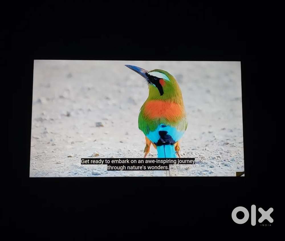 Xiaomi 138cm ultra HD 4k with bpl sound system