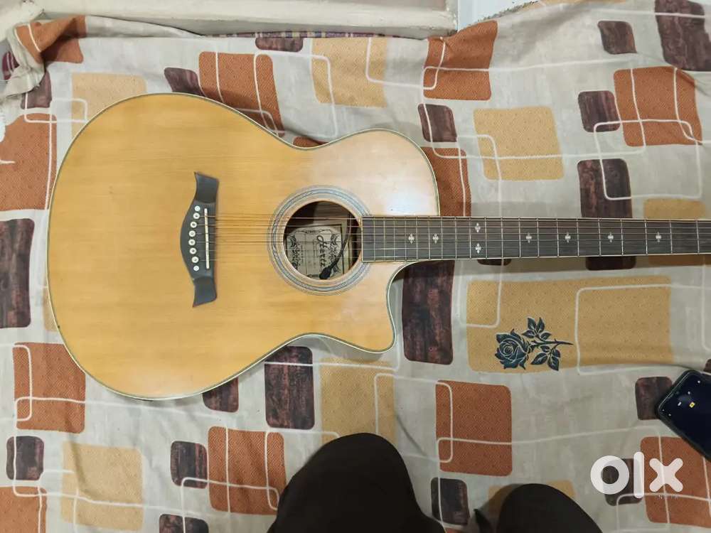 Hertz guitar
