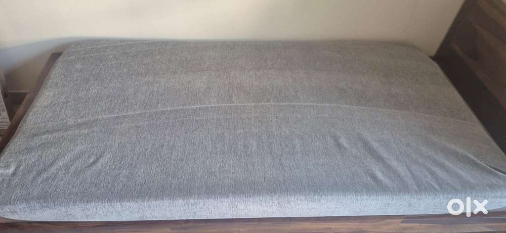 Sleepwell ortho single bed matress