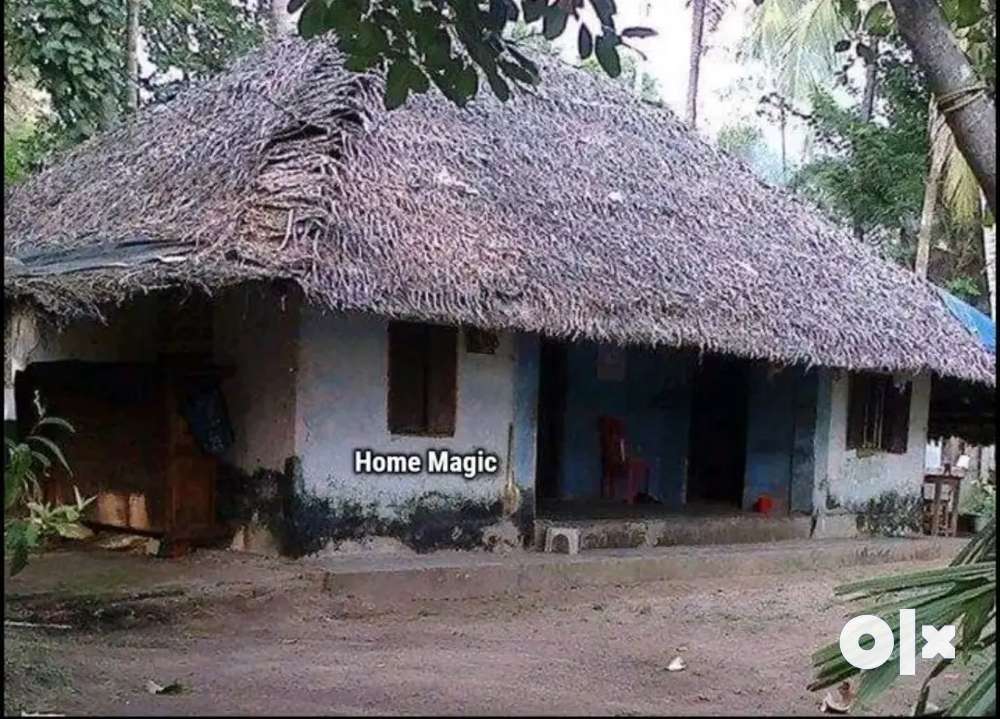 My dream home