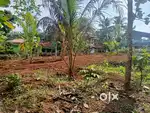 Land for sale at Anchal town