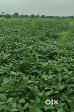 Manikvada to pipri rod tach