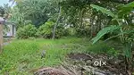 Residential Land For Sale in Kothad  House Plot For Sale in Kochi