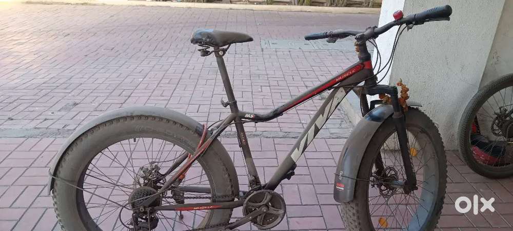 Viva Componey fat Tyre Cycle for Sell